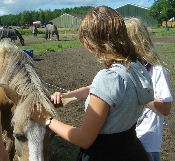 Coachingstraject voor kinderen met hun eigen pony 