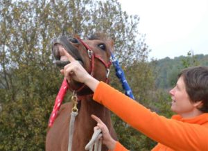 Jolien Dalenberg en Bazooka