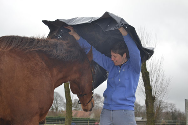 Ontspannen werken met je paard