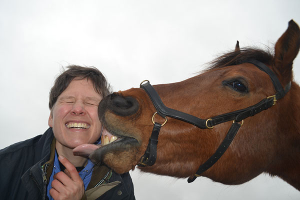 Wet van aantrekkingskracht voor paard en ruiter