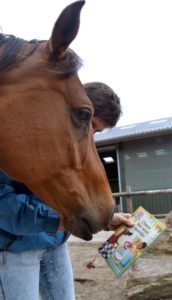 Boekbespreking Choco het Minipaardje