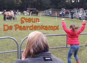 pennydag-steun-paardenkamp