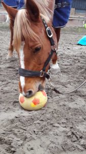 schriktraining bewustzijn