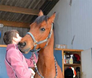 Contact-met-paard