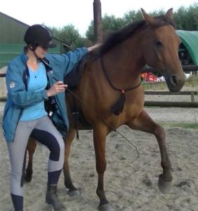 Lichaamsbewustzijn samen met paard