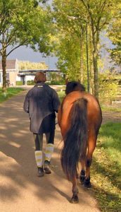 Analyse paard stap