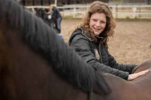 Paardenmassage workshop