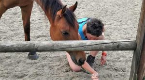 Body Awareness met paard
