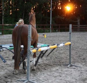 Schriktraining vertrouwen