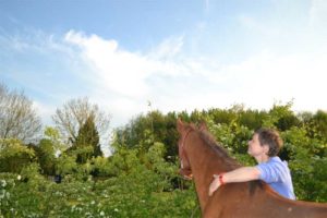 Samen zijn met je paard