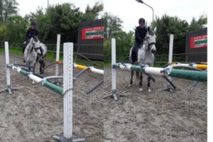 Vertrouwen opbouwen paard