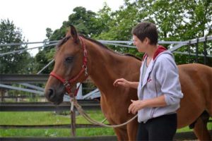 aanraken als communicatie met paard