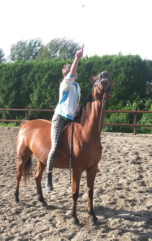 Oefenen Wet van Aantrekkingskracht met paard