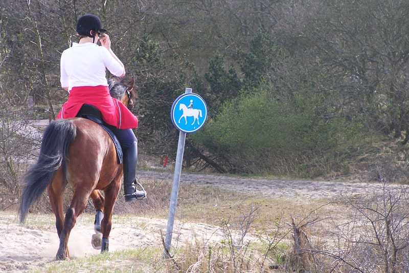 Paardrijles (Wet van Aantrekkingskracht)