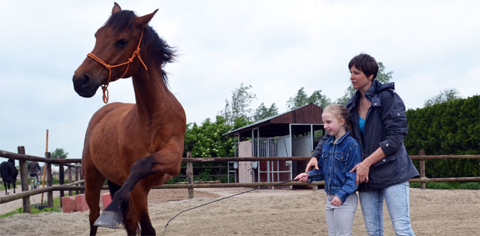 Vrijheidsdressuur leren