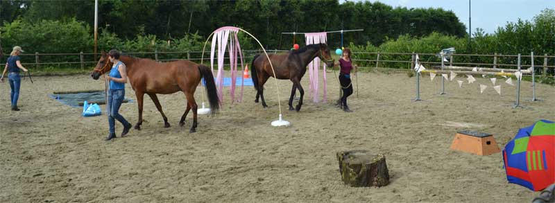 Workshops schriktraining voor een betere band met je paard