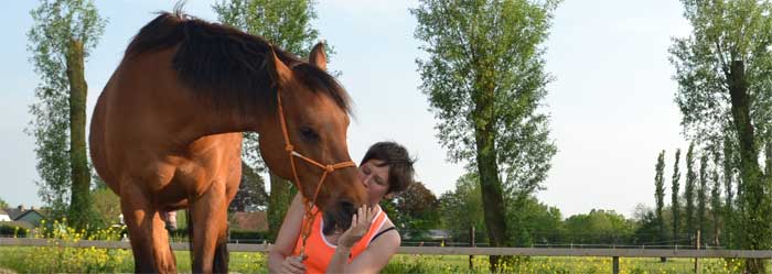 Heeft jouw paard respect voor jouw ruimte? Het gaat vaak over kleine dingen!