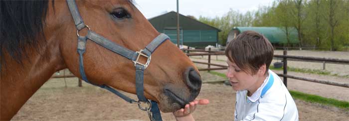 paard belonen