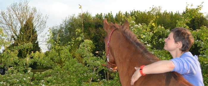 Luisteren naar je paard