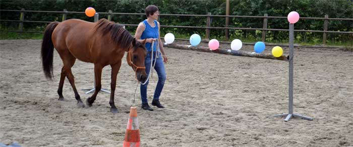 Samenwerken met je paard of hem controleren?