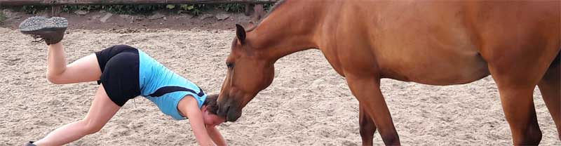 Ruitertraining: werk aan jezelf en haal het beste uit jou en je paard