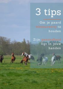 3 tips paard blessurevrij