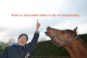 gratis skypesessie