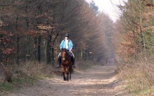 Ontspannen buiten rijden