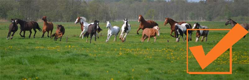 gratis sessie aanmelden