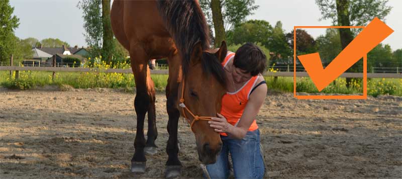 Je paard begrijpen aanmelden