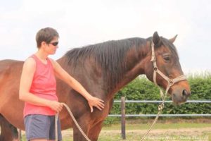 goed voor je paard