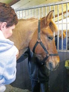 massage ontspant paard