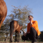 Ontspannen met je paard - zelf ontspannen