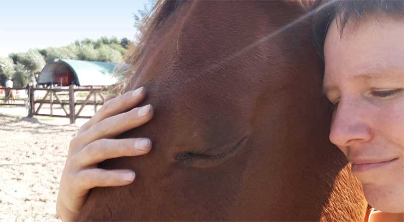 gespannen paard ontspannen