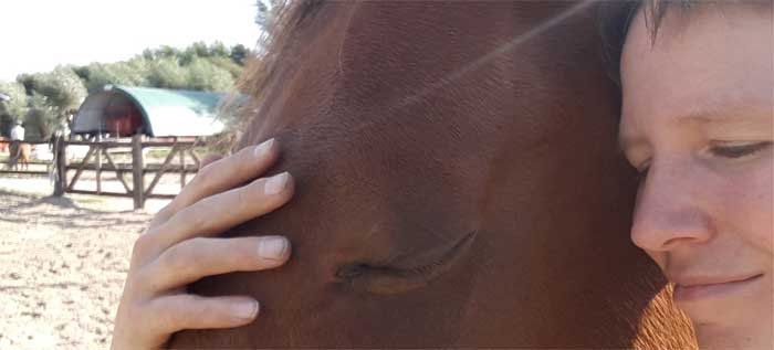 Bodywork voor gestreste en onzekere paarden