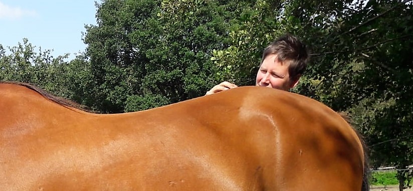 Help je paard bij pijn in de achterhand met deze acupressuur punten