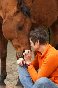 liefde paard en mens