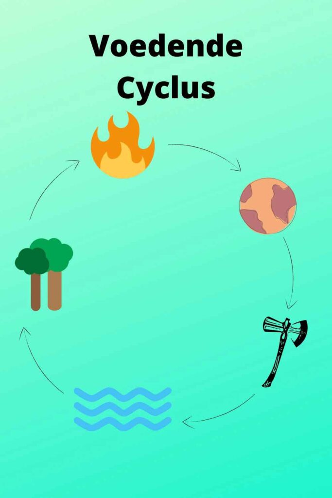 Paarden Karaktertypes Uitleg Voedende Cyclus