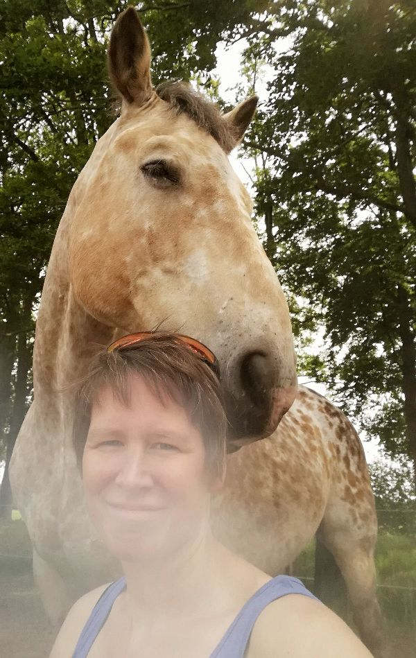 Aardepaard kenmerken tips en informatie over Aardepaarden