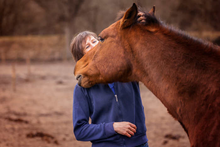 Pubergedrag paard herkennen