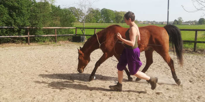 Lang en laag lopend paard; Liever niet!