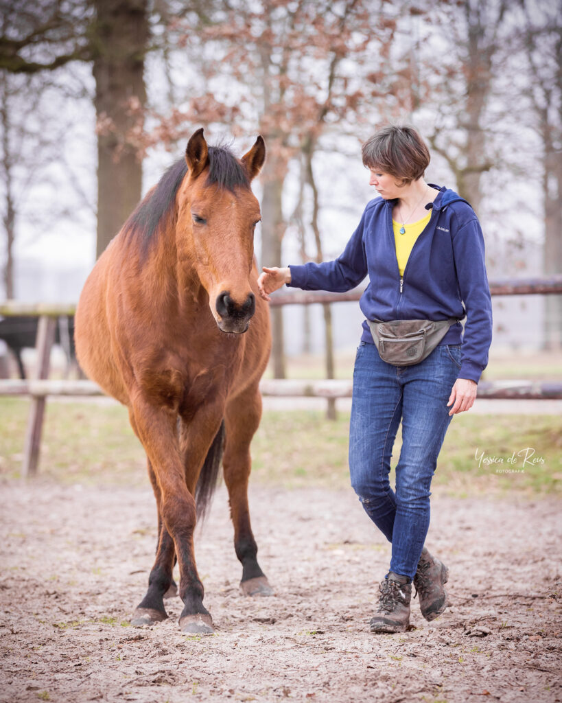 revalidatie paard