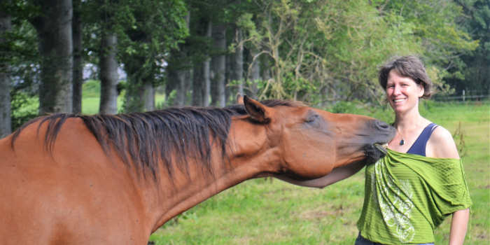 Respect van je paard Wat betekent dat voor jou en je paard