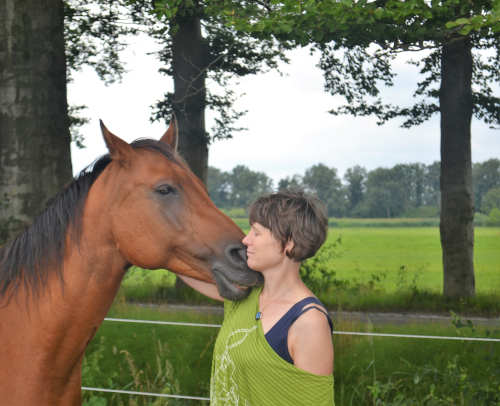 Respectvol omgaan met je paard