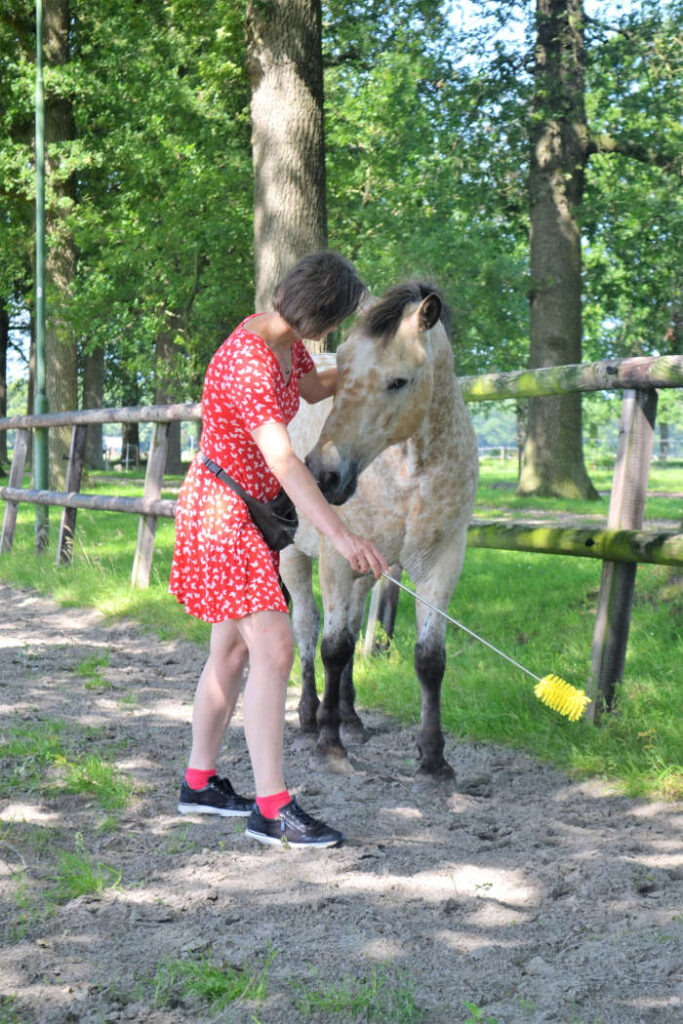 Lomp paard Waardoor gedraagt een paard zich lomp