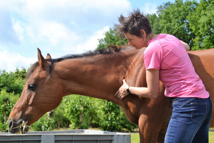 Hoe krijg je jouw paard lekker in zijn vel