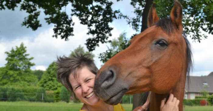 Getraumatiseerd paard Hoe ga ermee om?